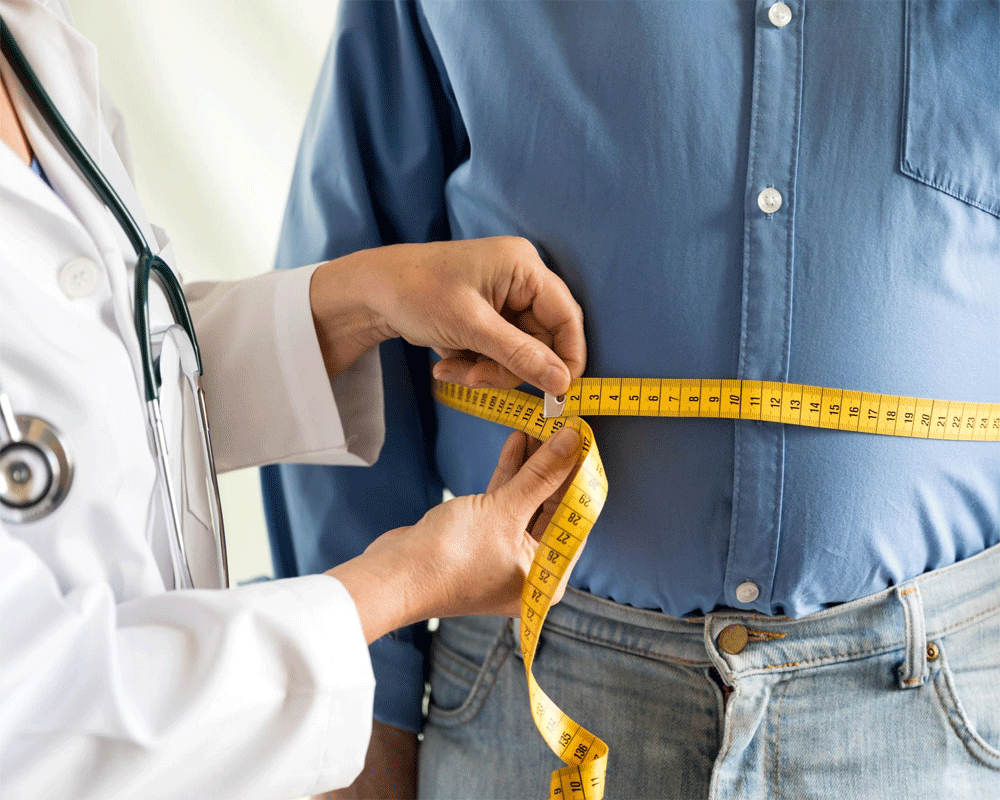 Obesity can impair learning, memory: Study