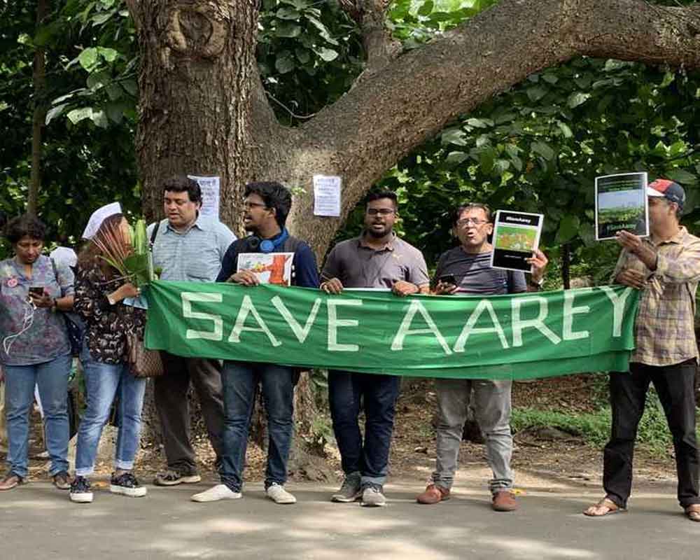 Don't cut anymore trees, says SC on Mumbai's Aarey