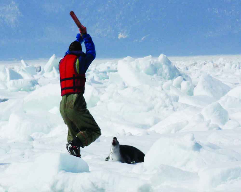 Stop the savage slaughter