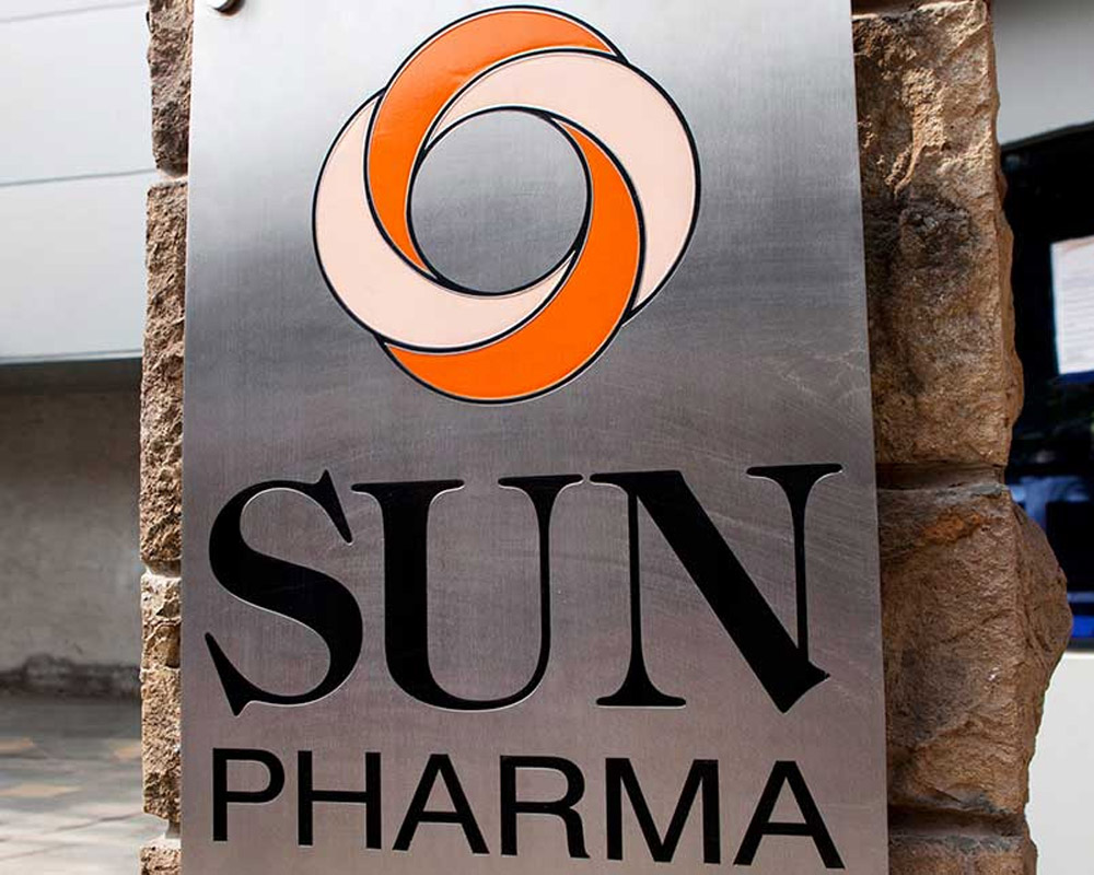 Sun Pharma stock rebounds, jumps 4%
