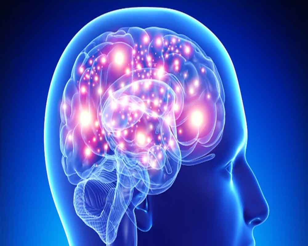 Synthetic peptide may help treat Alzheimer's disease