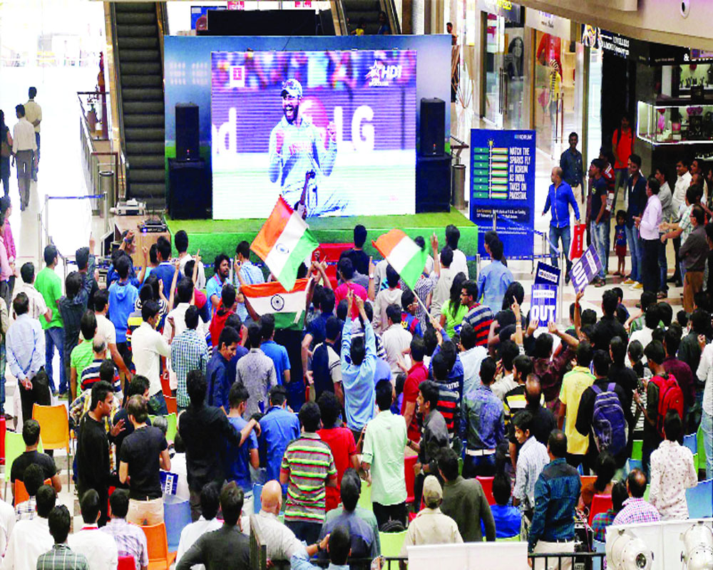 The great success story of cricket