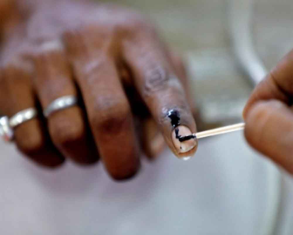 UP Assembly bypolls: Over 28 per cent voting till 1 PM