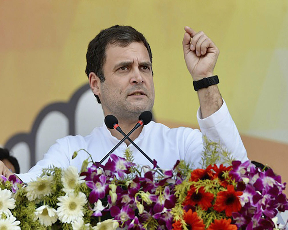 Will create fisheries ministry if Cong voted to power: Rahul