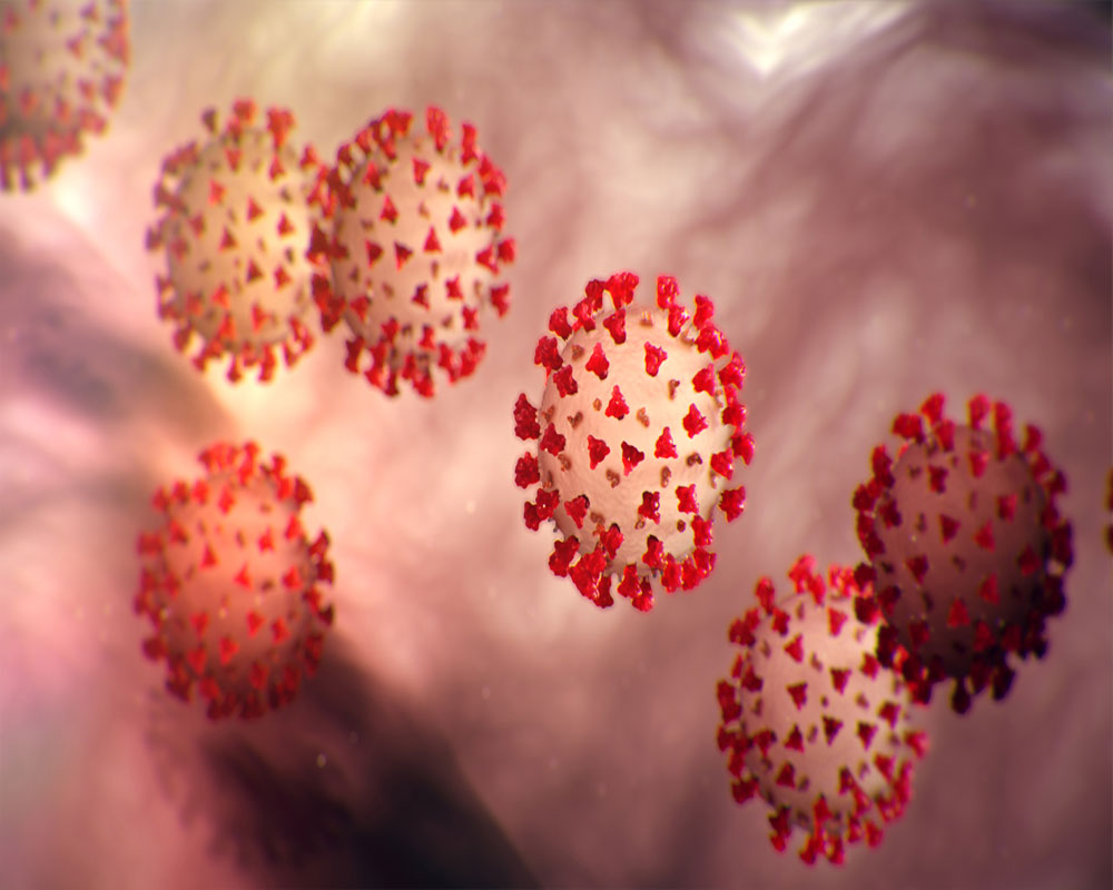 Anti-parasitic drug kills coronavirus in lab grown cells: Study