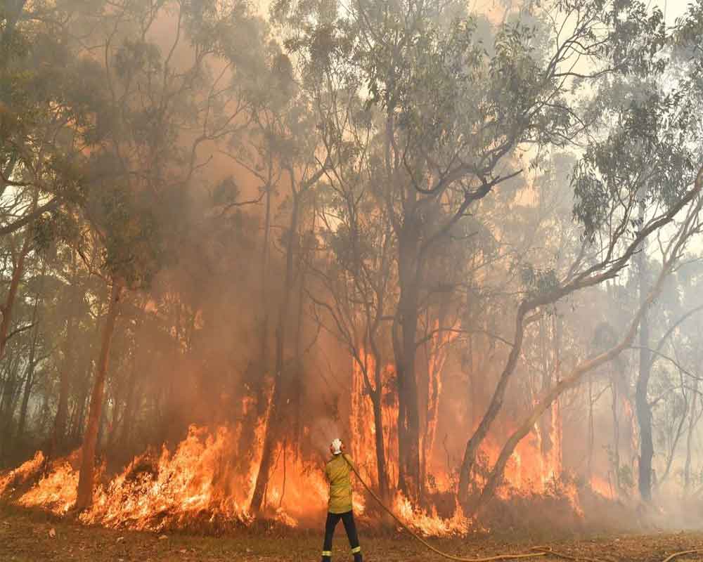 Australia firefighters race to contain blazes as heatwave looms