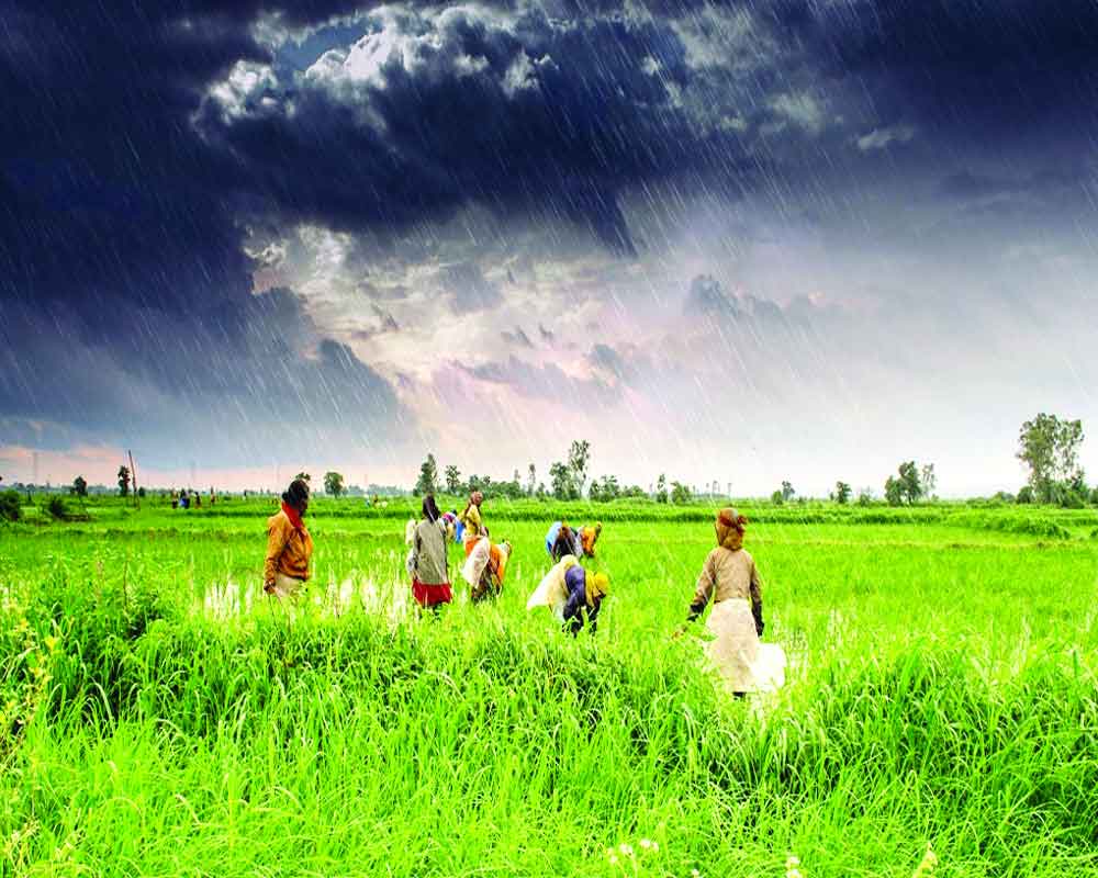 Climate change to impact India's GDP, reveals report