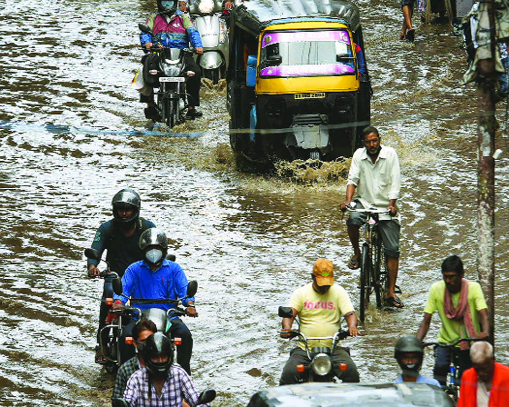 Early monsoon brings cheers to farmers