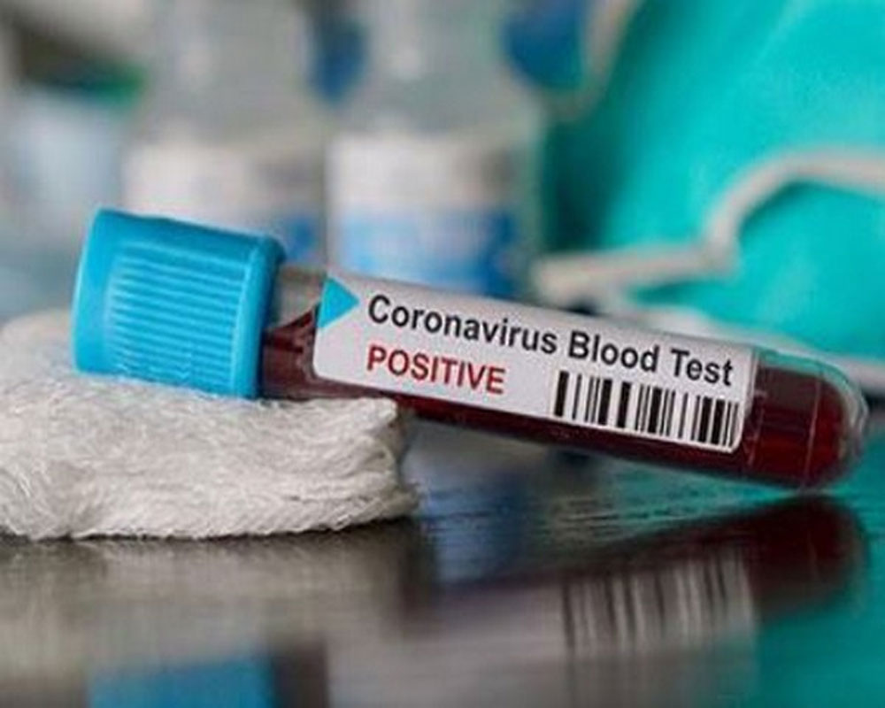 Falkland Islands confirm first coronavirus case