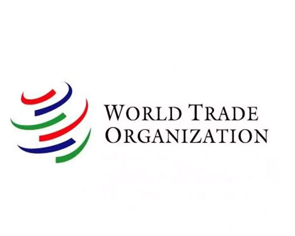 Global trade will plunge by up to a third in 2020 amid pandemic: WTO