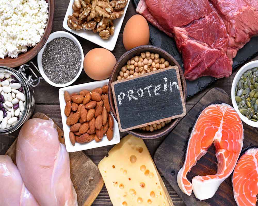 High-protein diets clog arteries, up heart disease risk