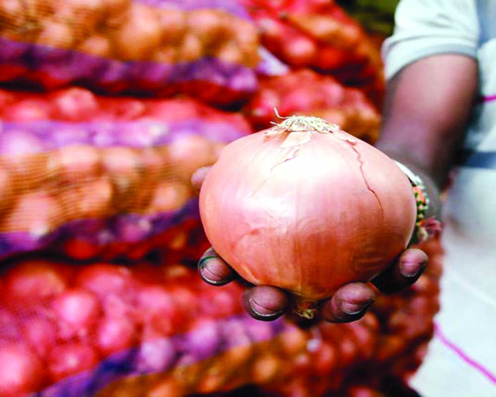 Imported onions still on the shelf, Govt worried
