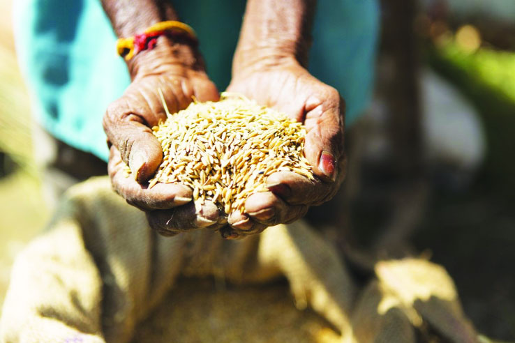 India has over 1-yr foodgrain reserve