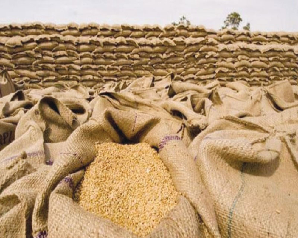 India to export 90,000 ton surplus wheat to Afghanistan, Lebanon