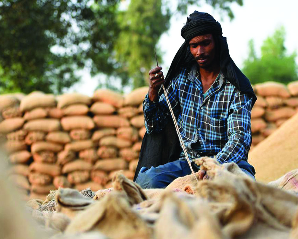 Livelihoods in the lurch