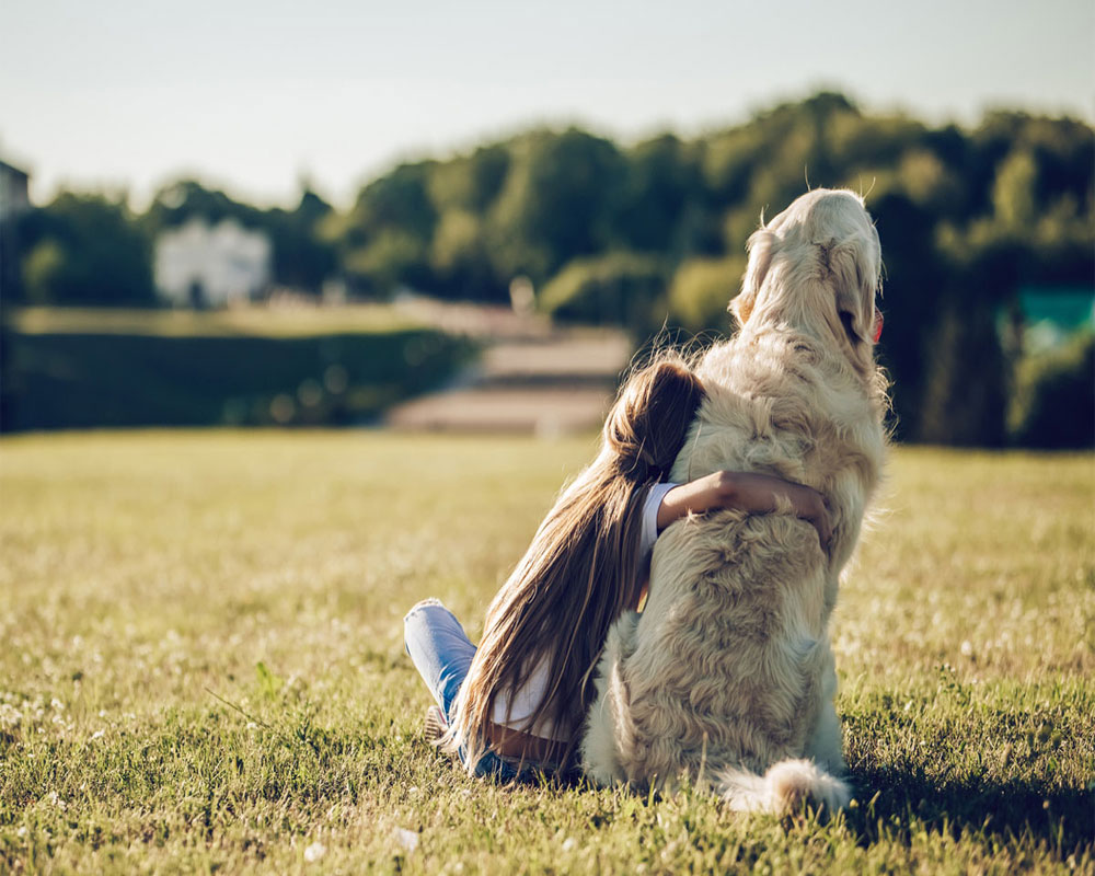 Loss of pet triggers mental health issues in kids: Study