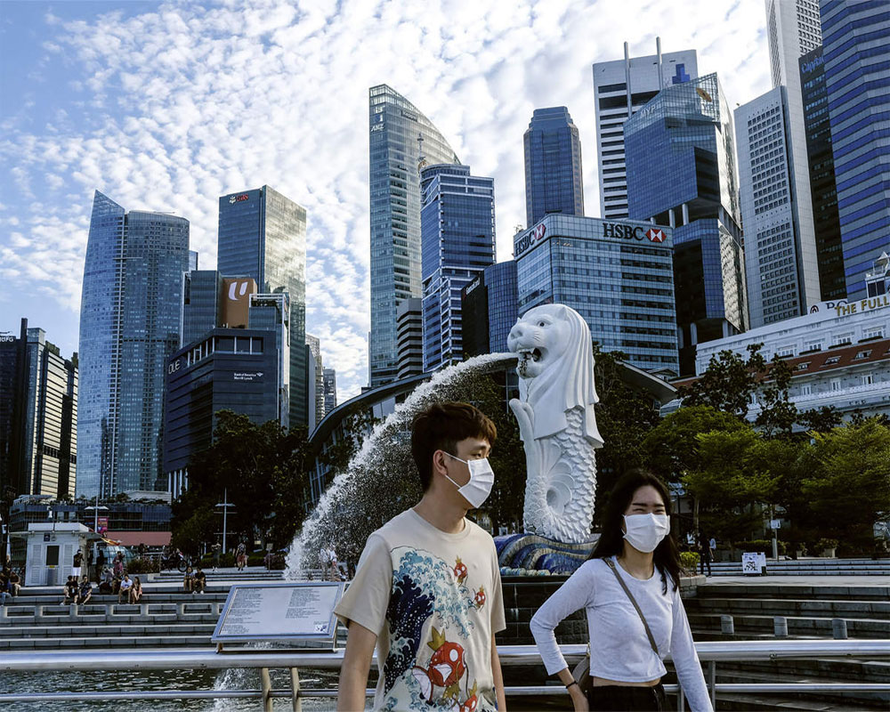 Singapore reports 12 coronavirus cases