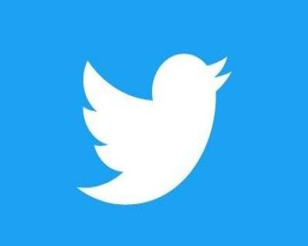 Twitter survey reveals paid service with 'Undo Send' button