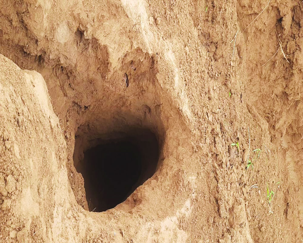 150-metre-long, 30-ft-deep  cross-border tunnel found