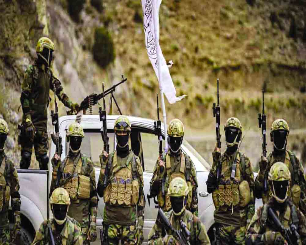 Badri 313: The Taliban's special operations unit