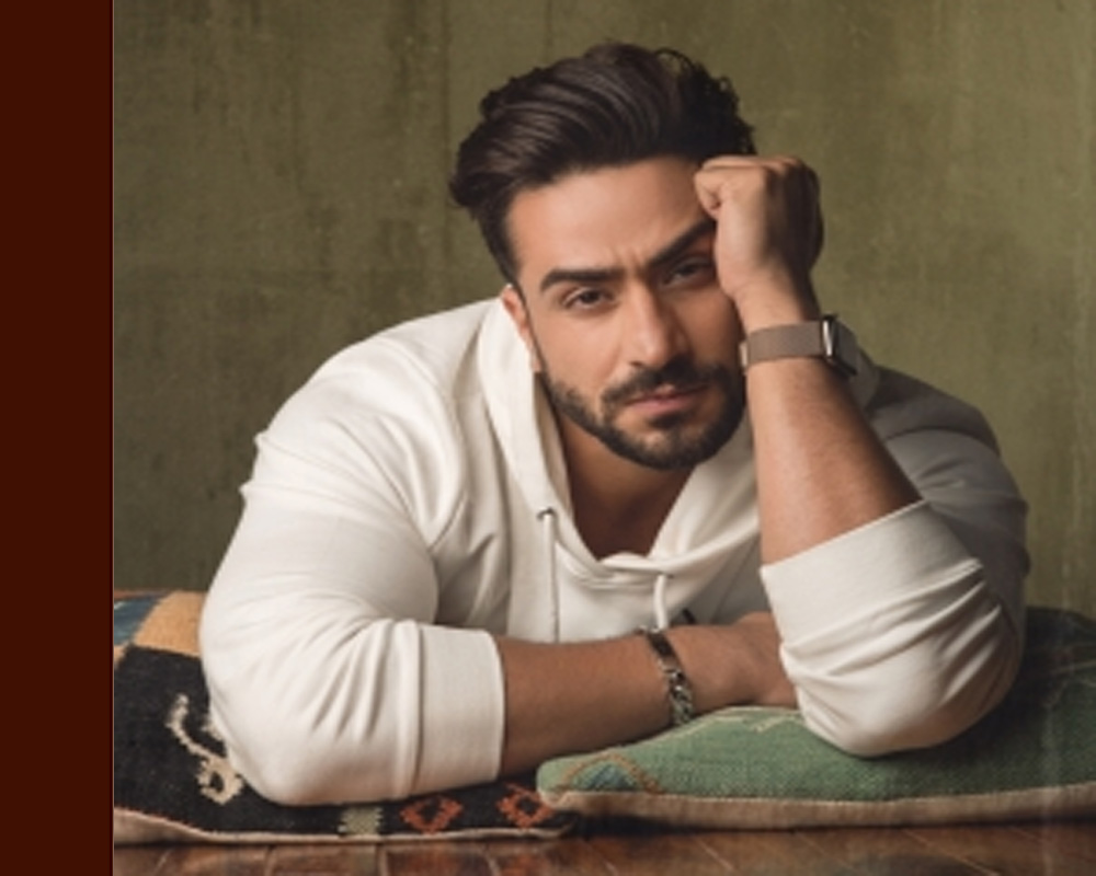 Bigg Boss 14: Aly Goni opens up on what he earned on the show