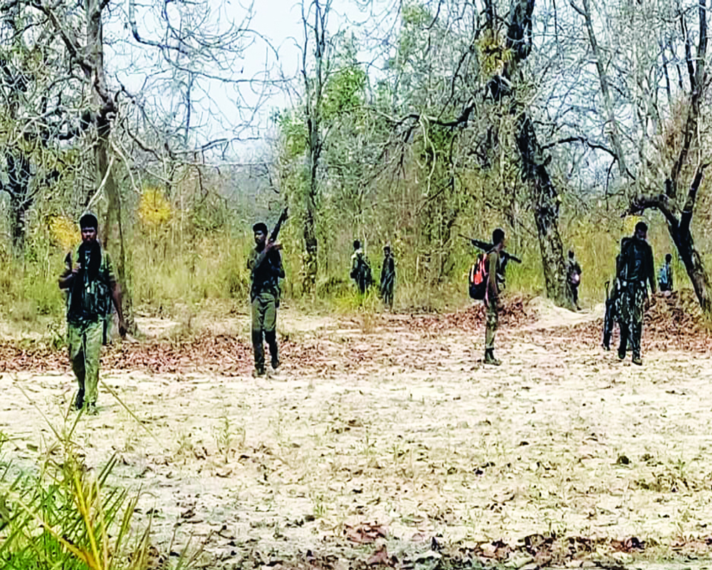 Change strategy to eliminate Red terror