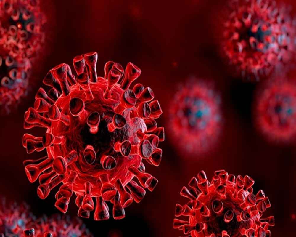 Covid antibody that protects against broad range of variants identified