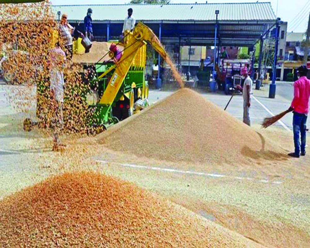 Delhi Govt can’t use NFSA grains for its scheme: Centre