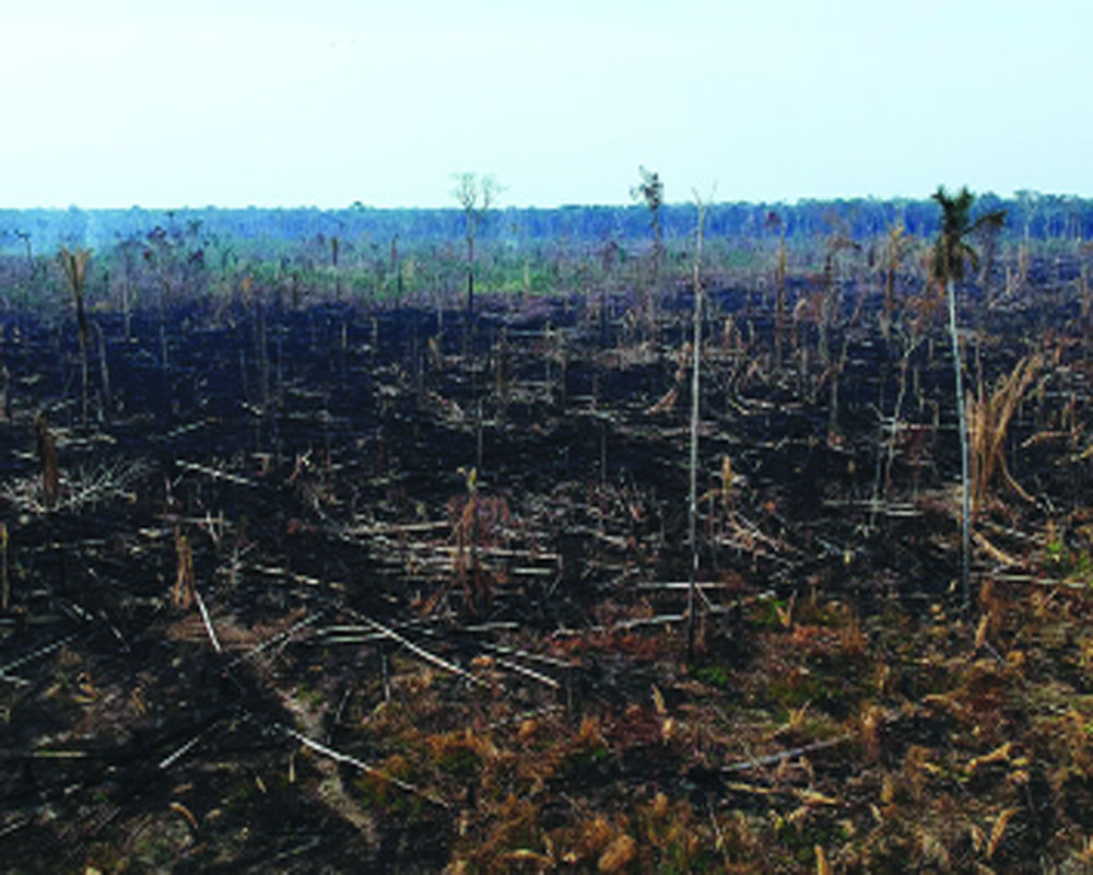 Farm Laws REPEALed: Concerns unresolved