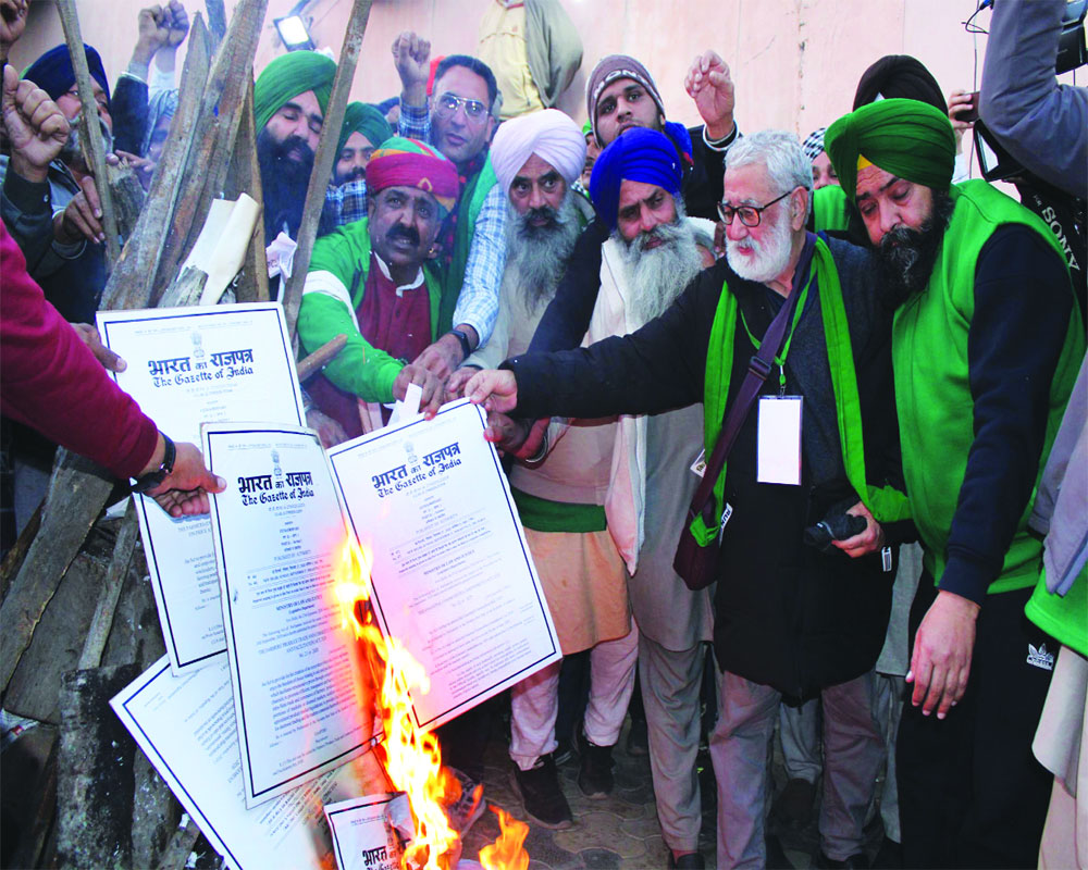 Farmers burn copies of agri laws on Lohri