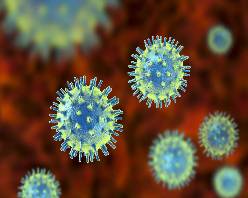 Faster spread of some coronavirus variants could be due to sturdier protein, say scientists