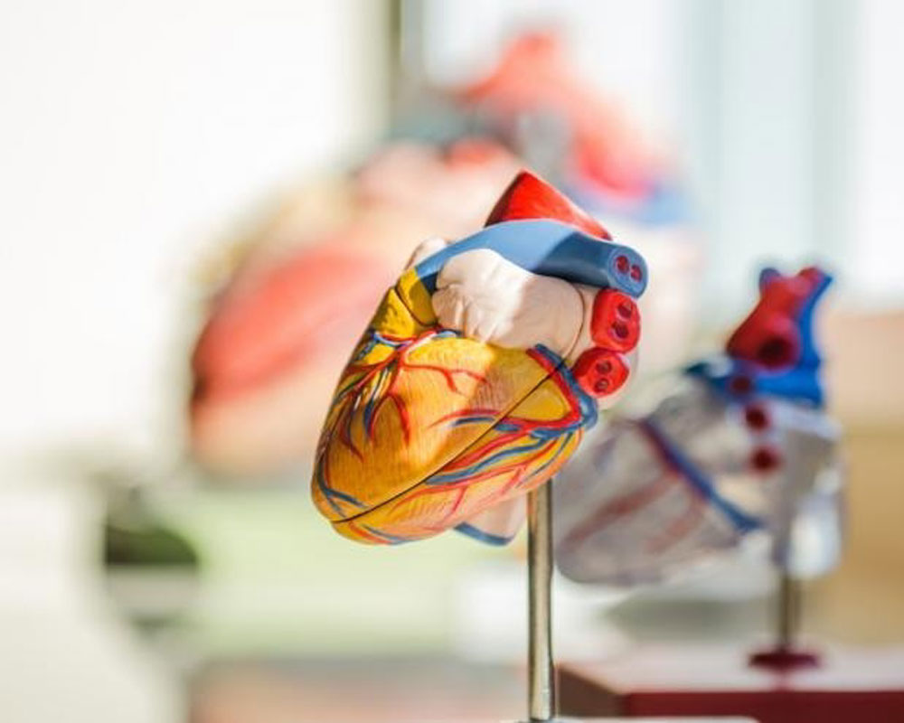 Heart-related test may indicate death risk in Covid patients