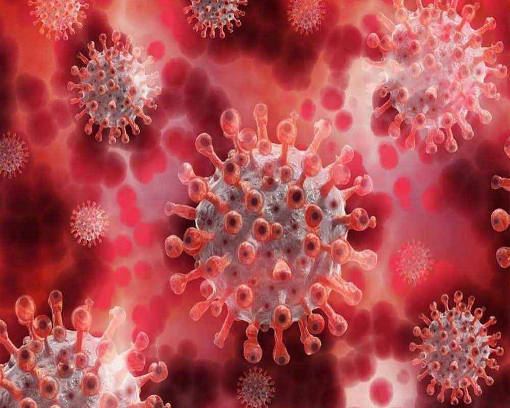 Increased infectivity, ability to escape immunity drove Delta variant: Study