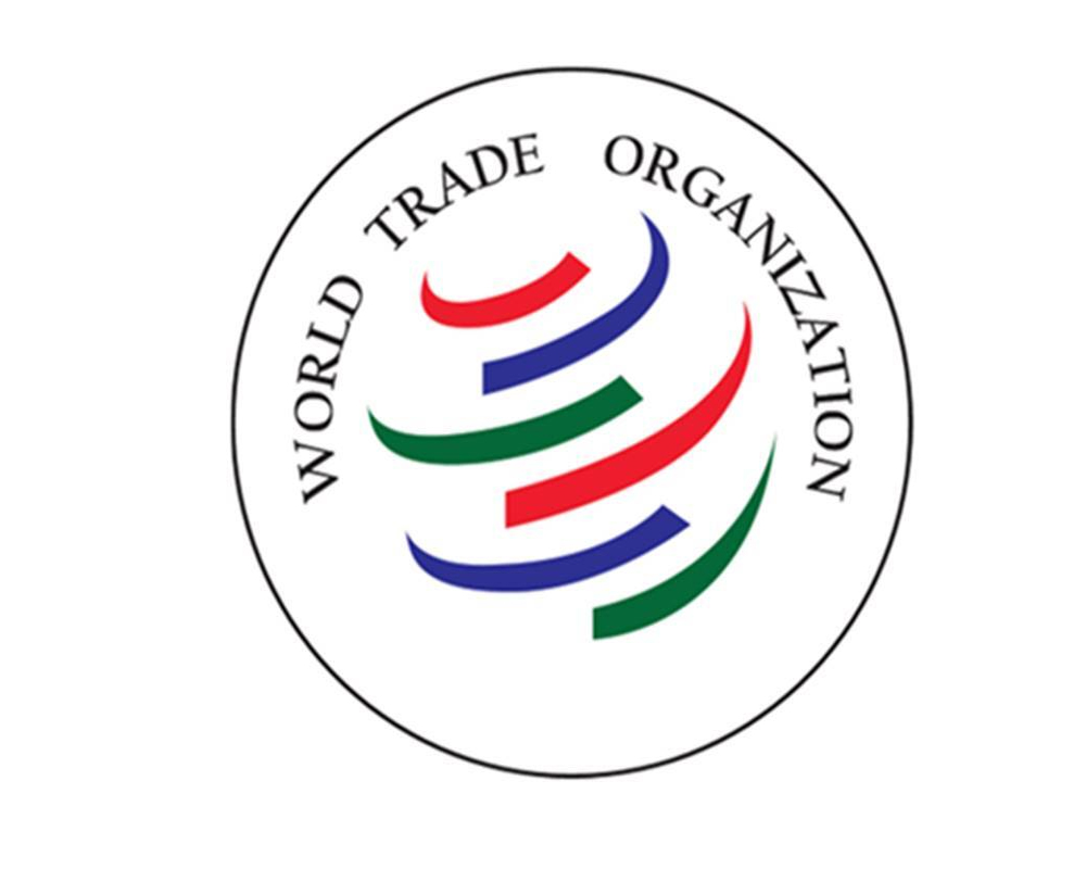 India implemented several measures to facilitate trade during 2015-20: WTO