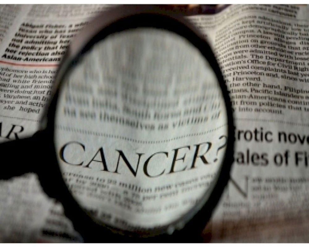 Novel protein may improve safety of therapy for pancreatic cancer