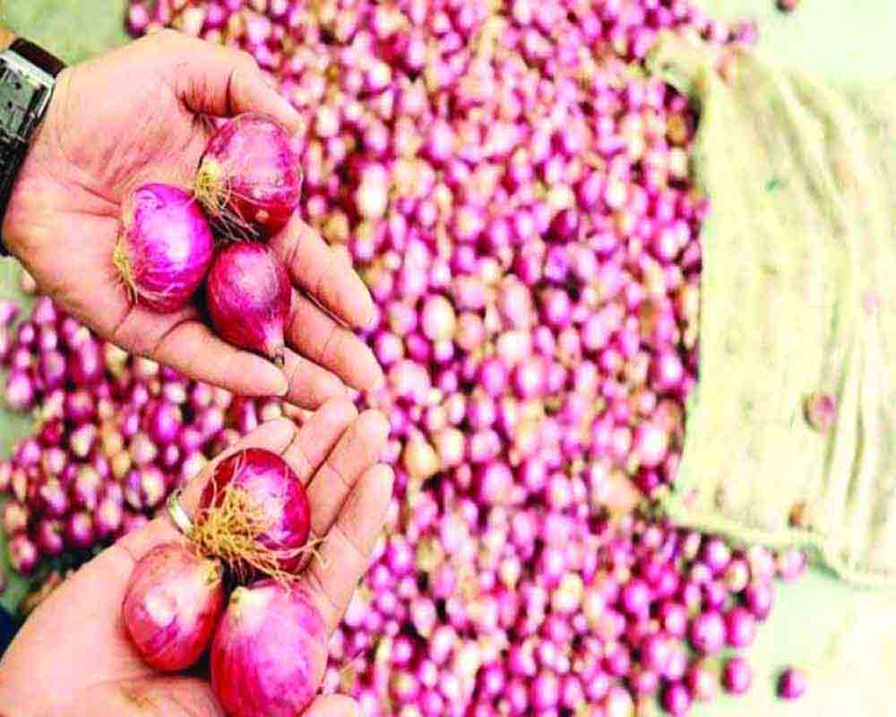 Onion prices not too high: Secy