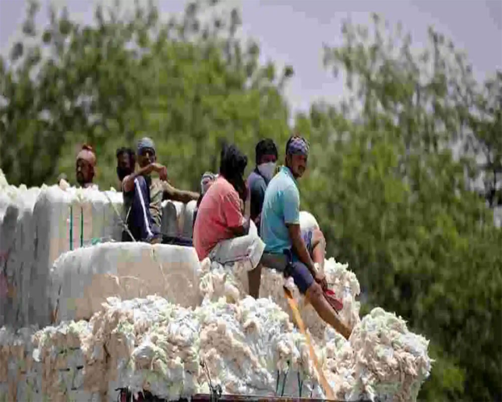 Pakistan's textile industry upset as govt rejects cotton import proposal from India