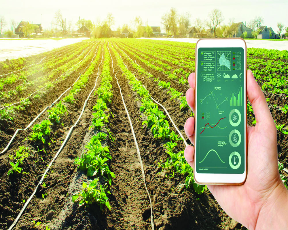 Precision farming: Meeting the challenges of food safety