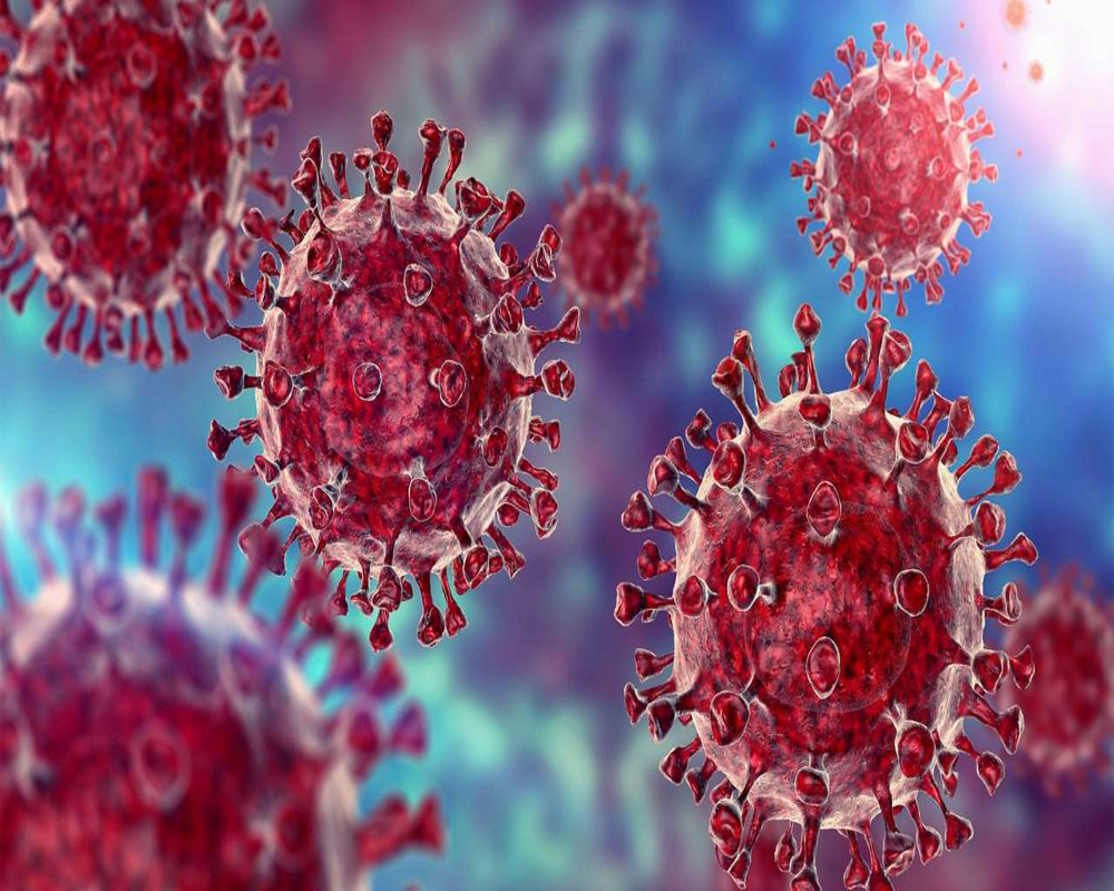 South African scientists detect new virus variant amid spike