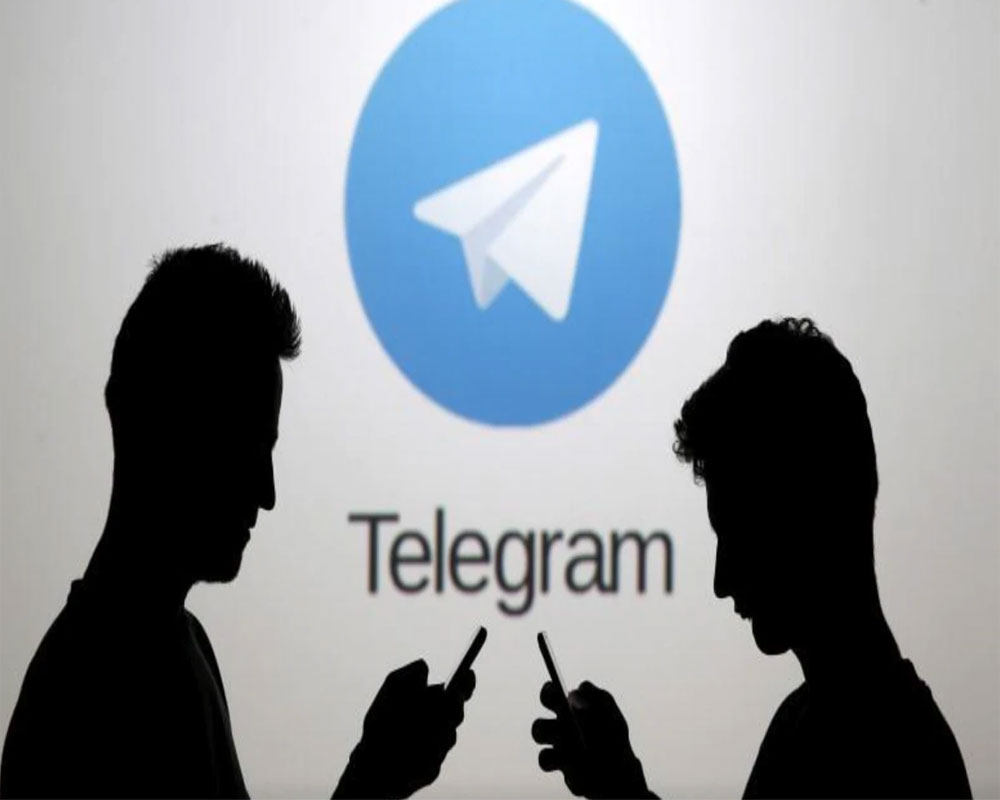 Only телеграм. Воля телеграмм. Воля телеграм.