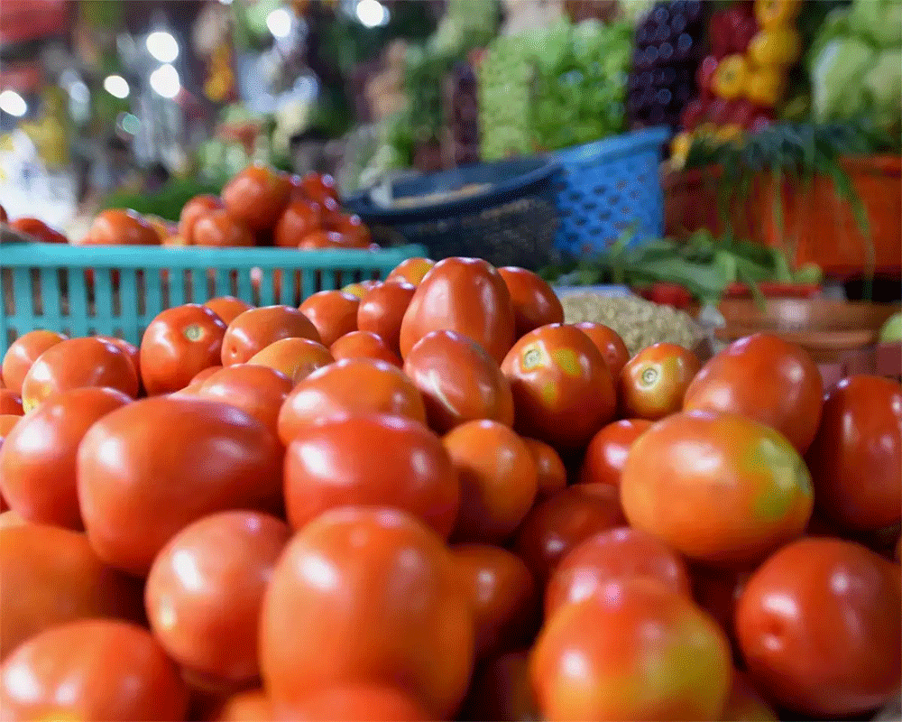 Tomato turns costly on tight supply; prices soar to Rs 72 per kg in metros