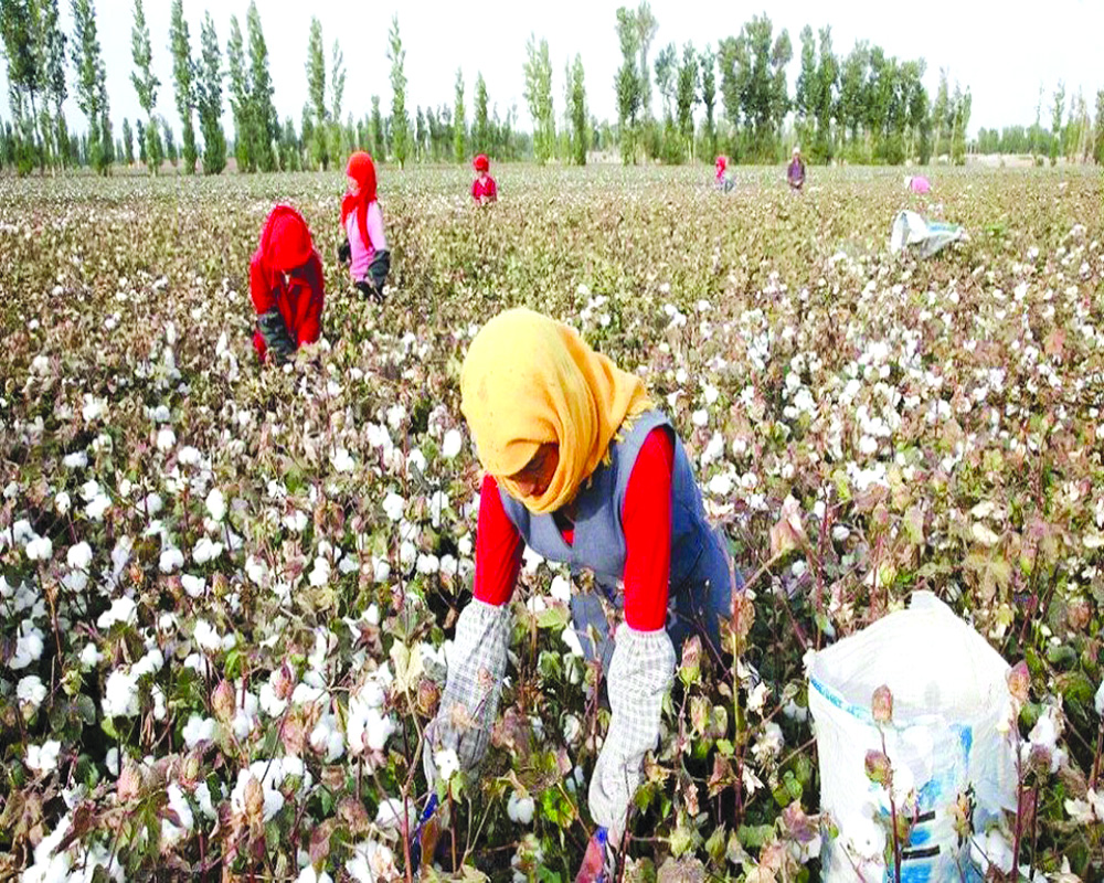 World cottons on to forced labour in China