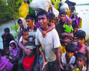 The Rohingyas must go back from India