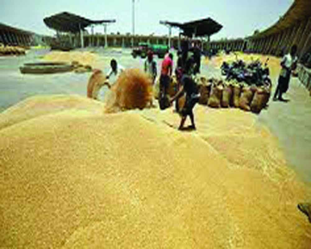 ‘India exported 1.8 mn tonnes wheat since ban’