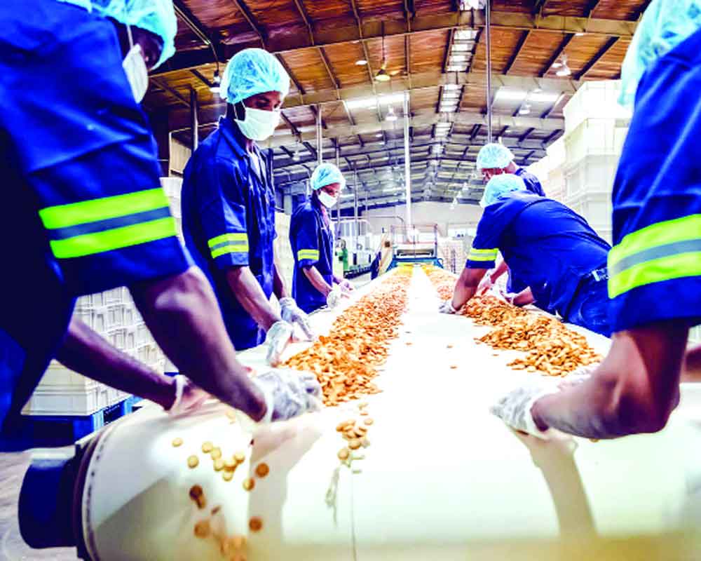 Flagship schemes portal to help food processing units