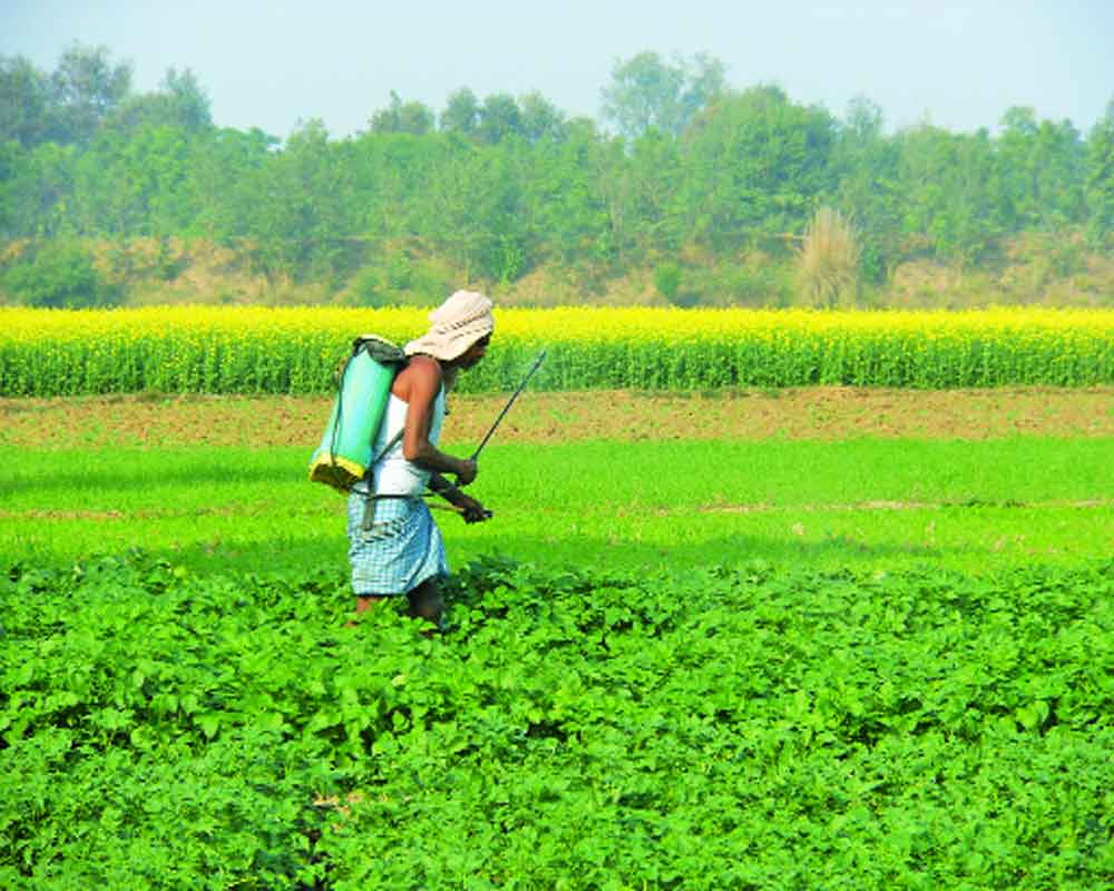 Free fertiliser industry by removing controls