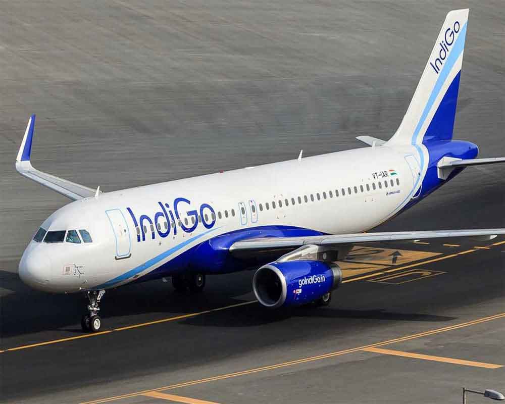 minimum age to travel alone by plane in india indigo