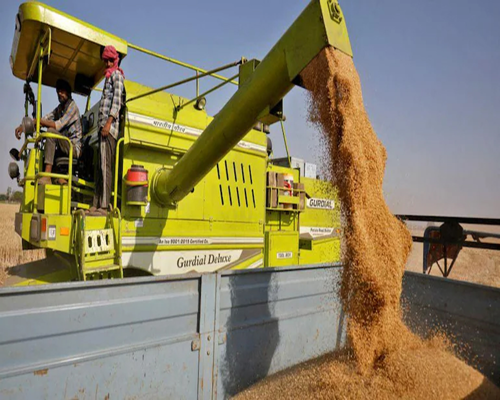 India prohibits wheat exports with immediate effect