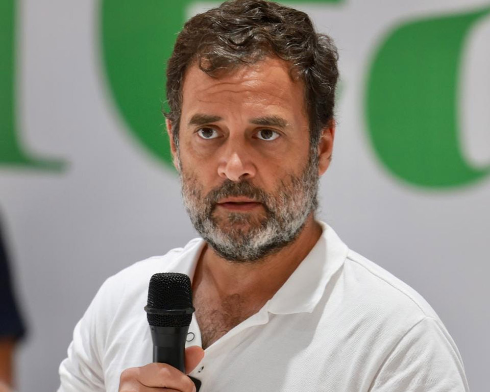 One-man, one-post commitment expected to be maintained: Rahul Gandhi