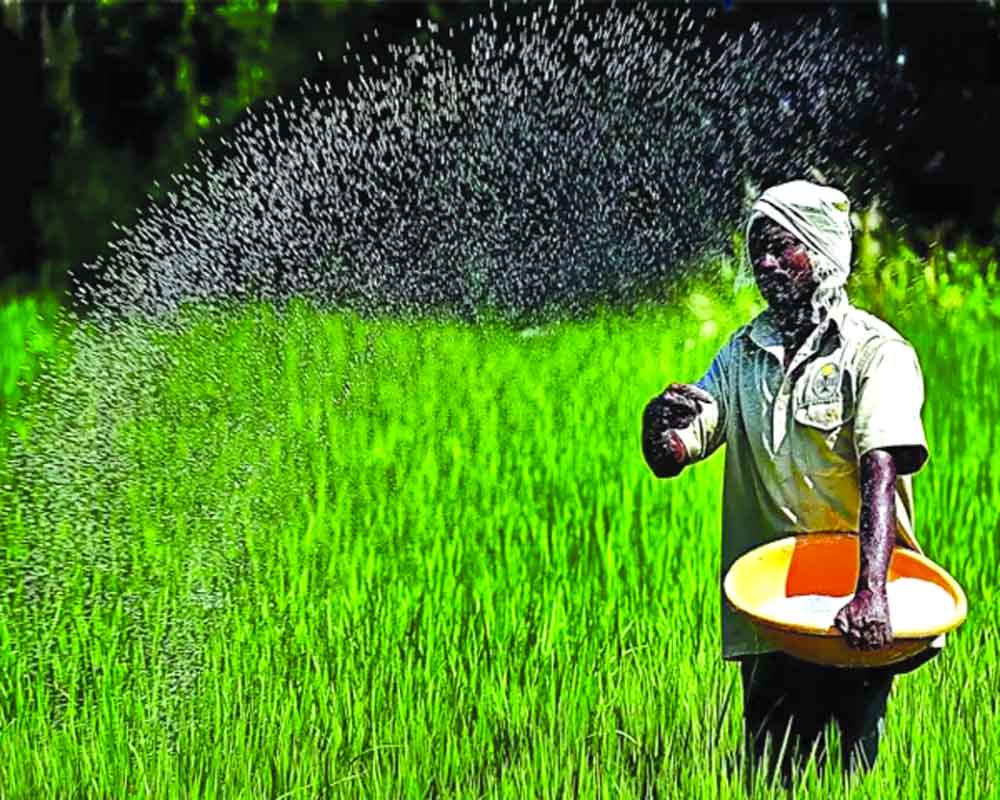 Saving fertiliser subsidy with DBT